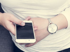 WPS专业版下载全攻略:解锁高效办公,告别繁琐与风险 第2张 WPS专业版下载全攻略:解锁高效办公,告别繁琐与风险 第2张