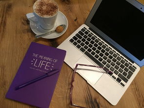 WPS教育版下载全攻略：为师生量身打造的纯净高效办公工具