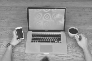 WPS电脑下载安装全攻略:从官网安全下载到免费版与会员版选择指南 第2张 WPS电脑下载安装全攻略:从官网安全下载到免费版与会员版选择指南 第2张